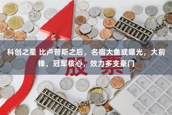 科创之星 比卢普斯之后，名宿大鱼或曝光，大前锋，冠军核心，效力多支豪门